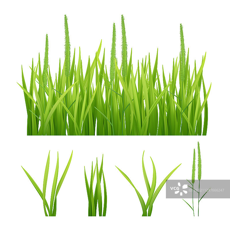 逼真的绿色草地自然风光图片图片素材