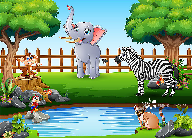 在美丽的SM边缘玩耍的野生动物图片素材