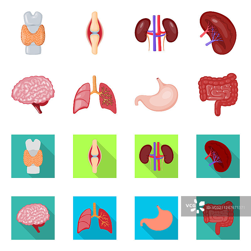 生物学与科学图片素材