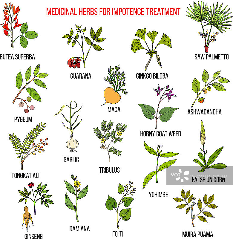 治疗性功能障碍的最佳草药图片素材