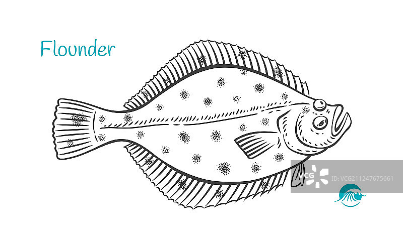 手绘比目鱼图片素材
