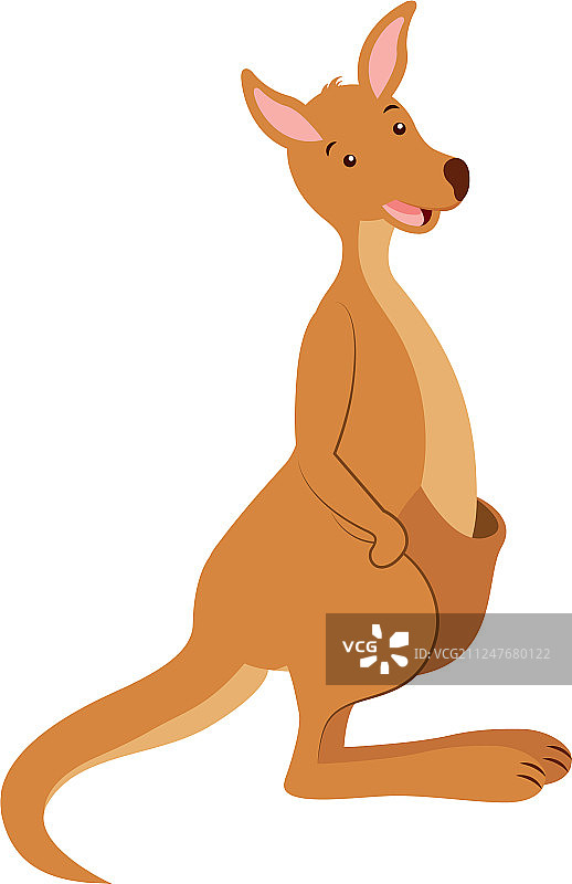 白色背景上的澳大利亚动物袋鼠图片素材