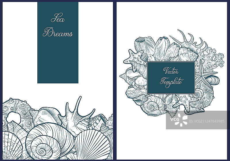 贝壳背景图片素材