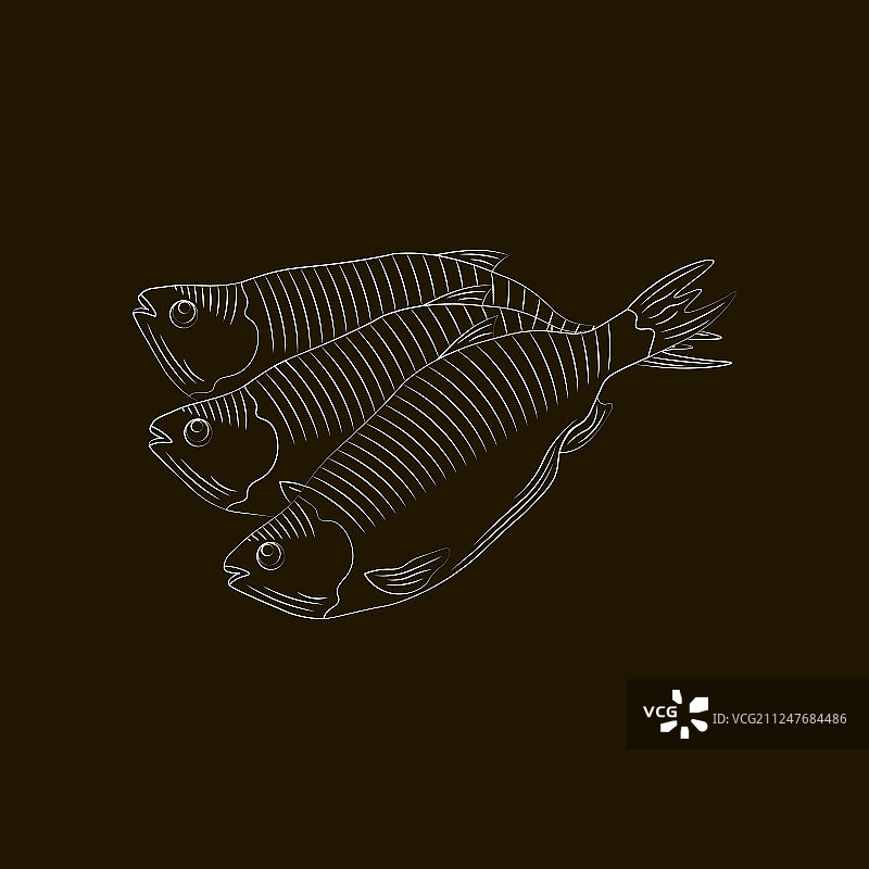 啤酒用手绘鱼的风格化图片素材