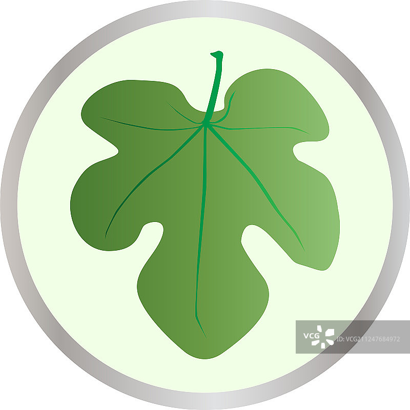 无花果叶子按钮图片素材