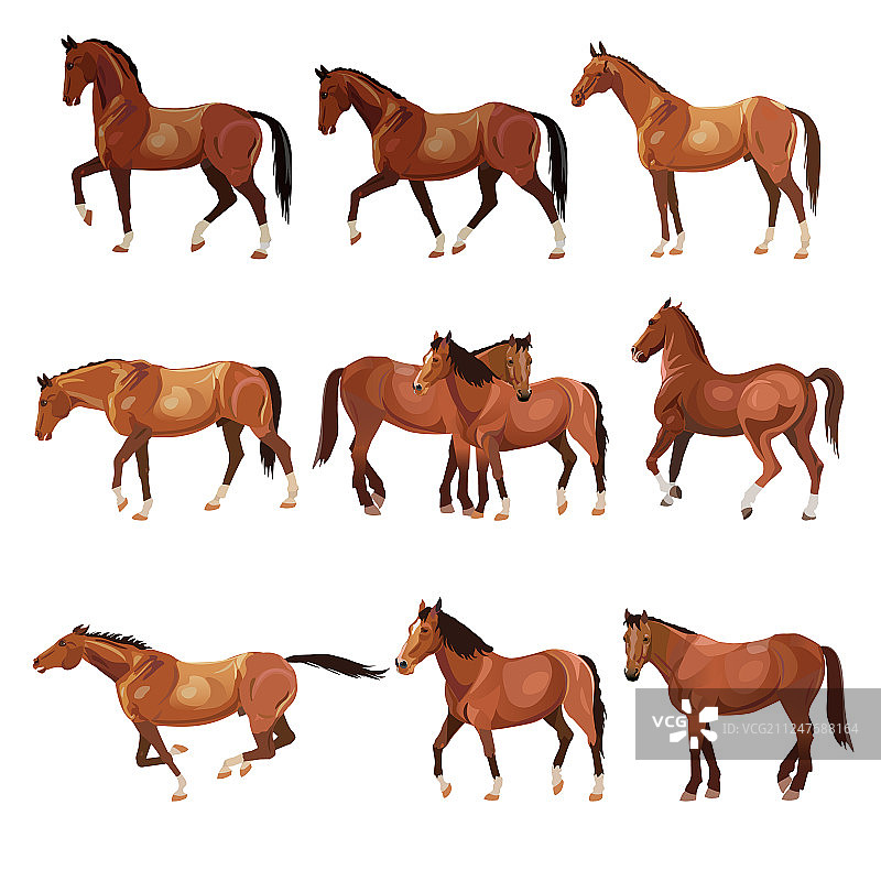 各种姿势的马图片素材