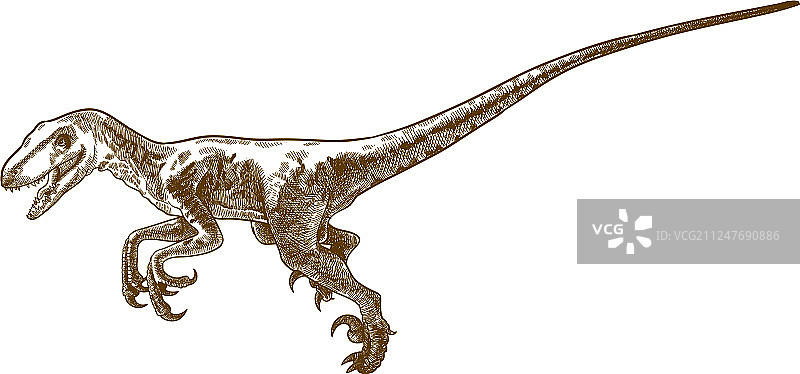 恐爪龙雕刻图片素材