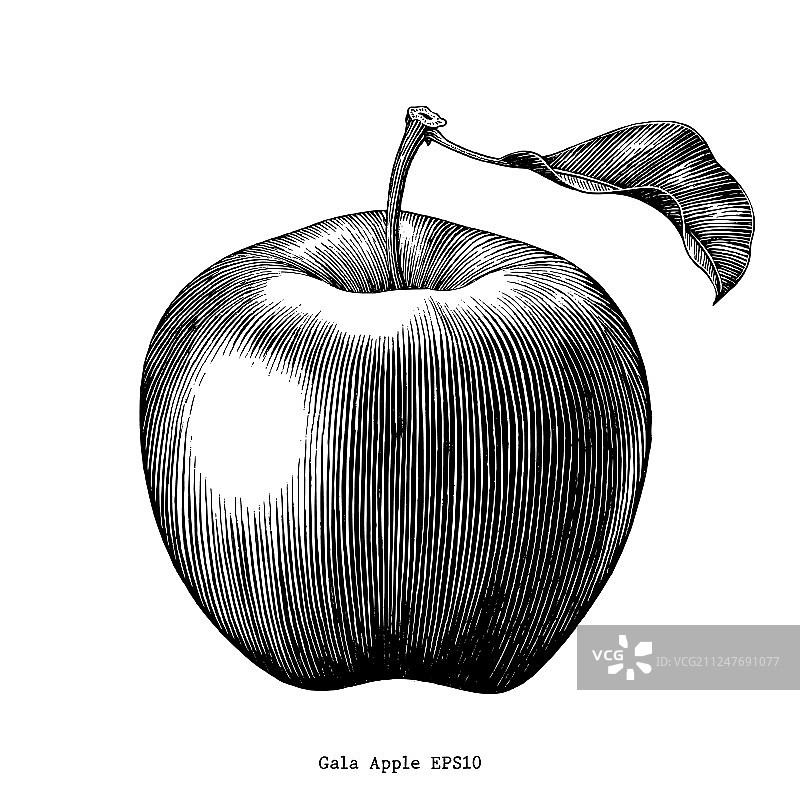 嘎啦苹果水果复古剪贴画图片素材