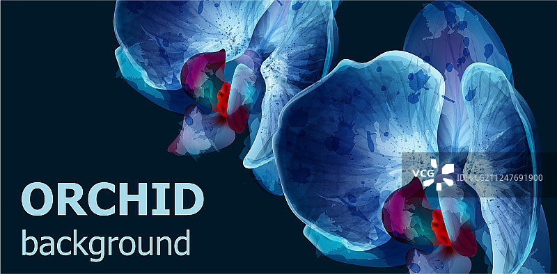 蓝色兰花水彩背景banner图片素材