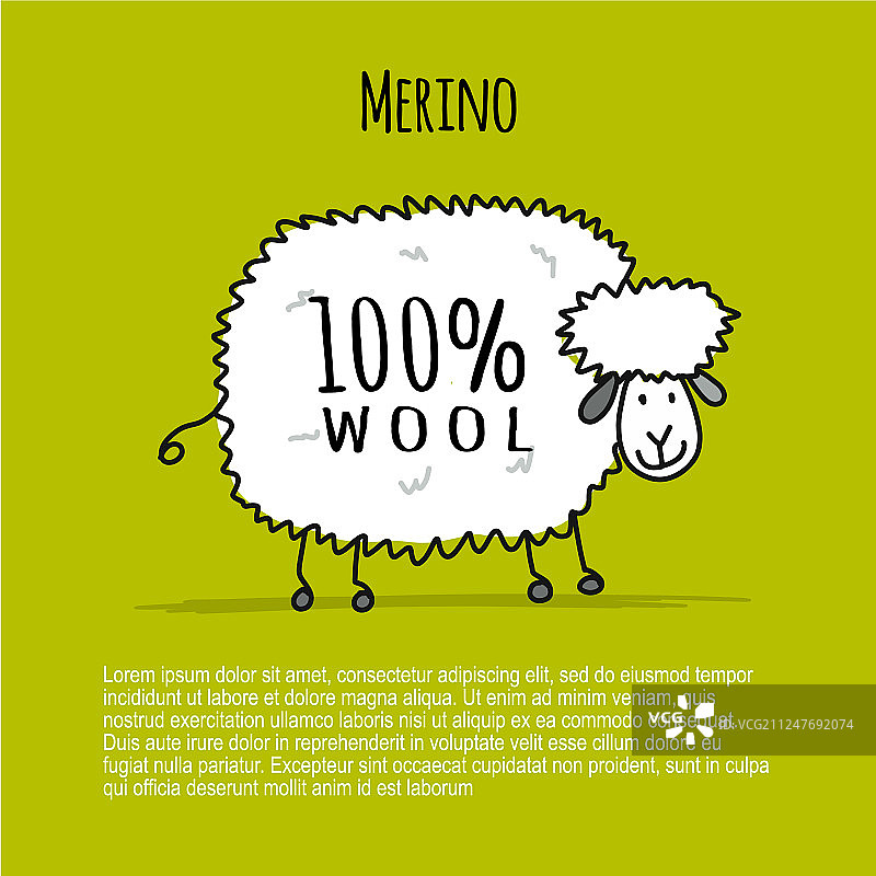 美利奴绵羊设计素描图片素材