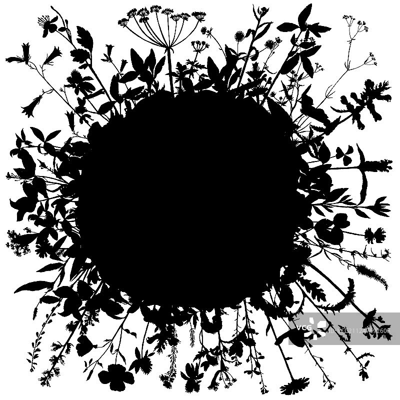 背景与绘制草本和花卉图片素材