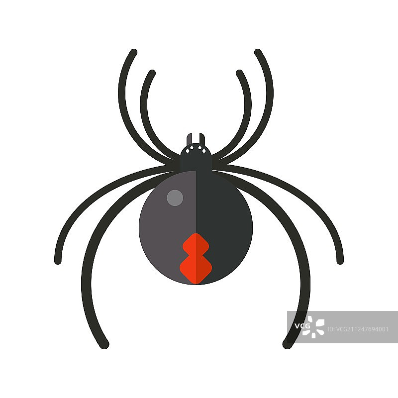 蜘蛛图标图片素材