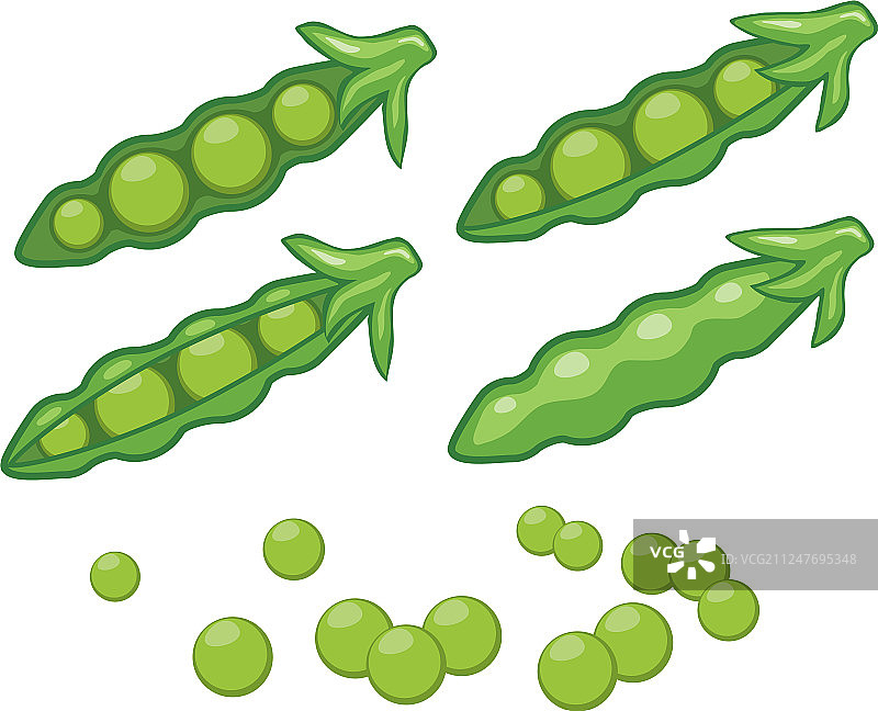 青豌豆荚图片素材