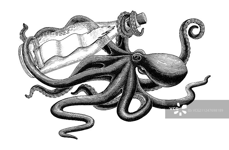 手绘复古章鱼持瓶剪贴画图片素材