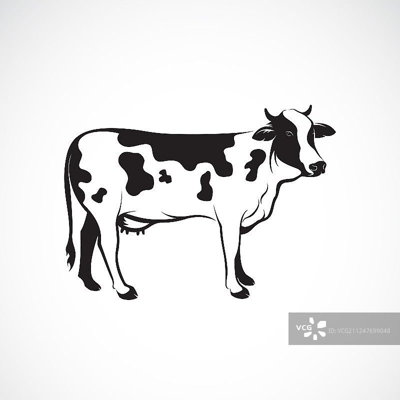 白色背景下的奶牛农场动物奶牛标志图片素材