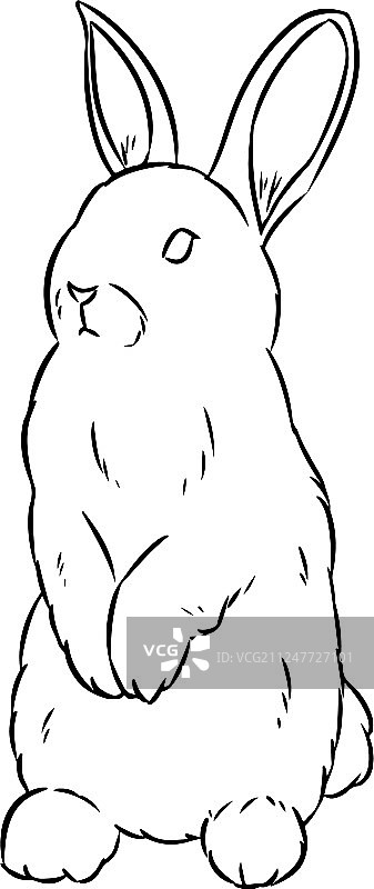 手绘兔子素描，可爱兔子涂鸦图片素材