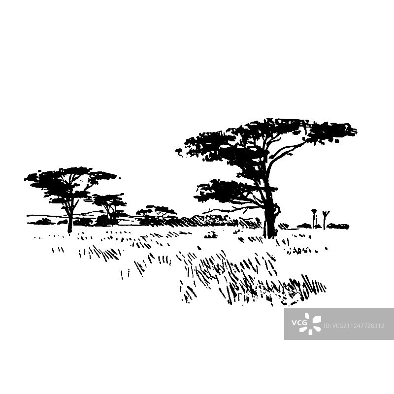 手绘非洲野生动物自然景观黑色背景图片素材