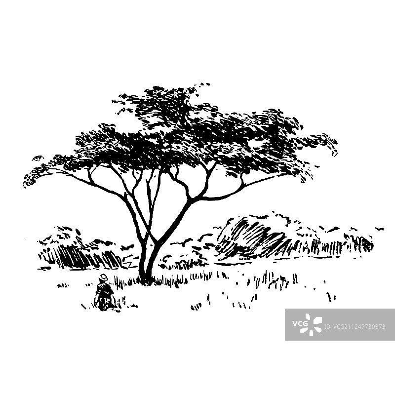 手绘非洲野生动物自然景观黑色背景图片素材