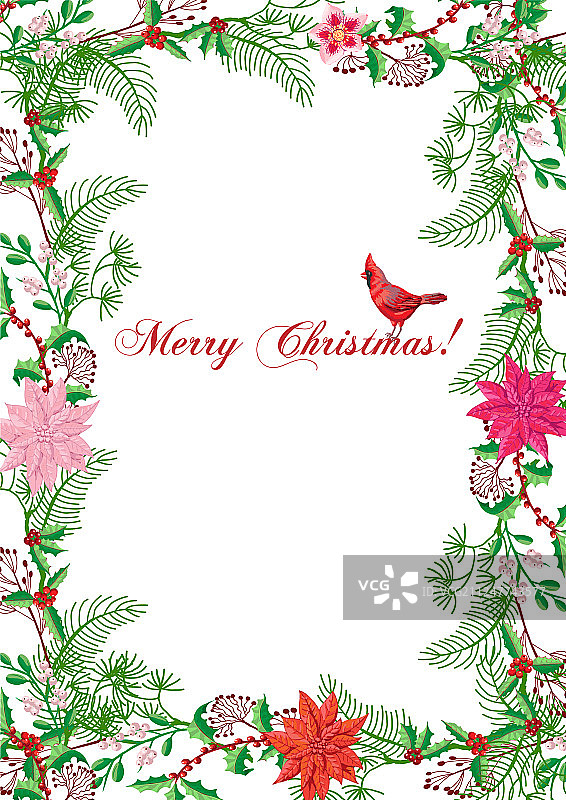 带有鸟类和一品红的圣诞海报图片素材