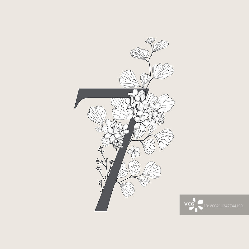 盛开的花卉数字7图案和标志图片素材