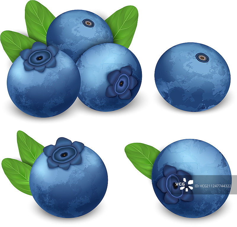 越橘图标集逼真风格图片素材