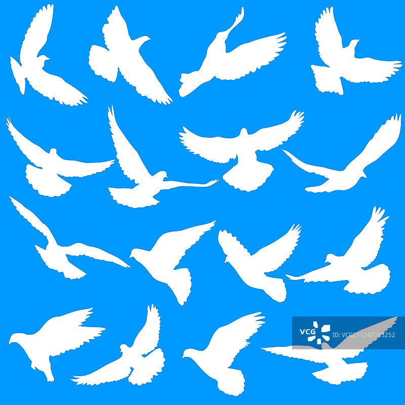 爱与和平概念：鸽子剪影图片素材