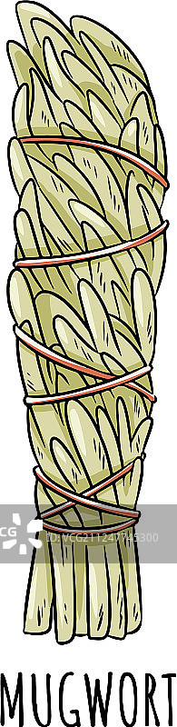 手绘涂鸦鼠尾草净化棒图片素材