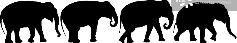 白色背景上的非洲象轮廓图片素材