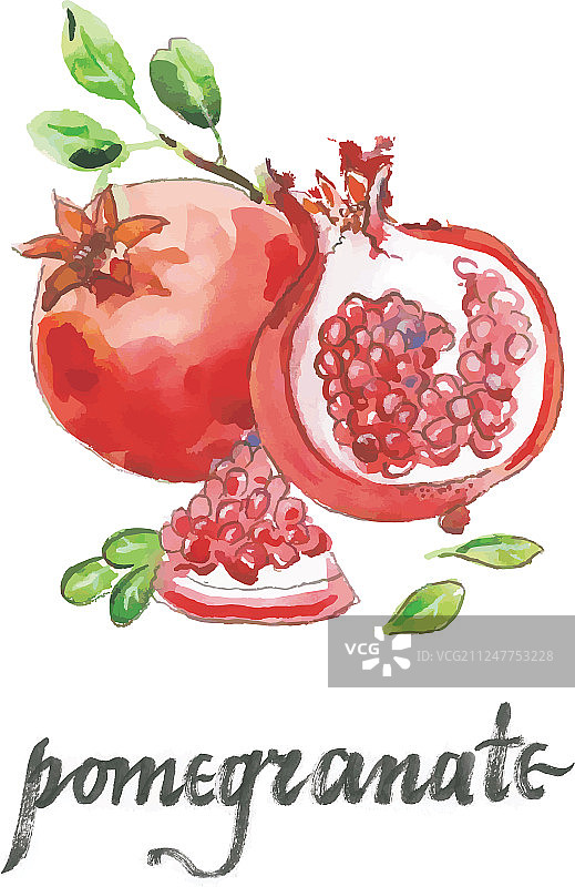水彩手绘石榴图片素材