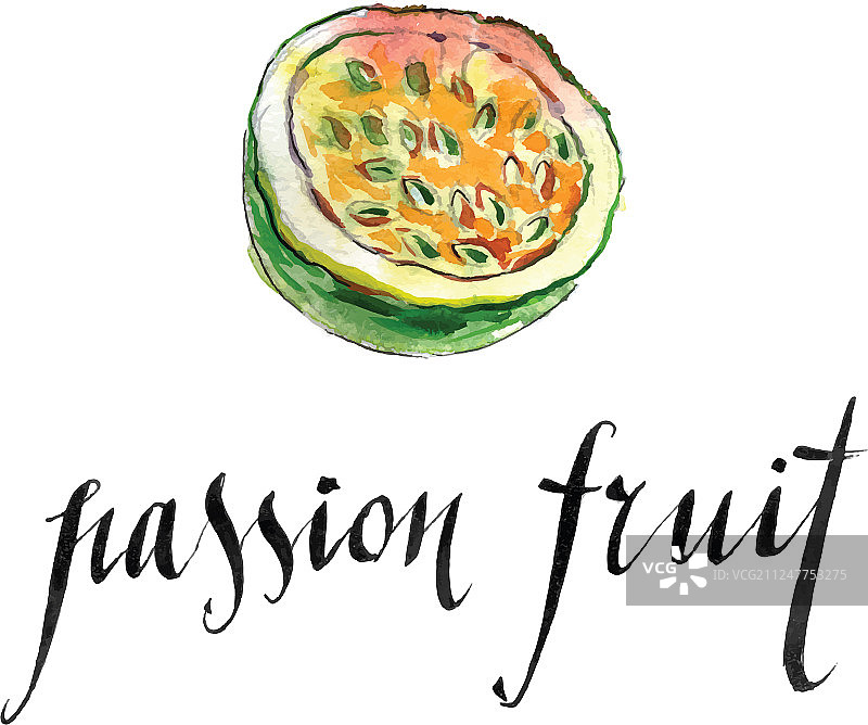 水彩百香果图片素材