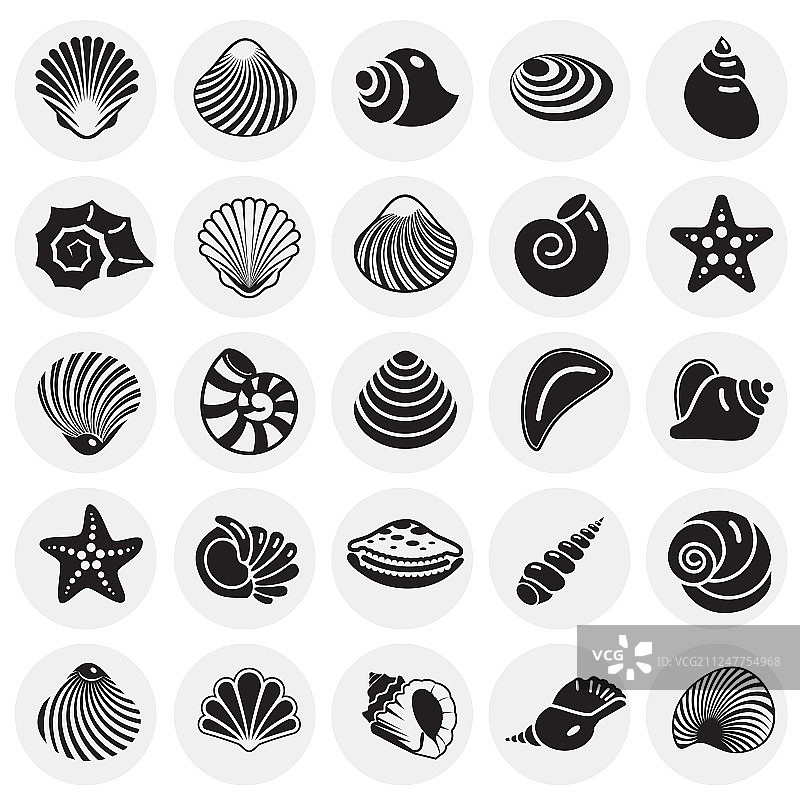 圆形背景上的贝壳图标合集图片素材