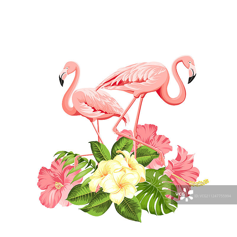 火烈鸟背景设计热带花卉图片素材