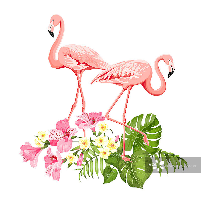 热带鸟类和花卉时尚元素图片素材