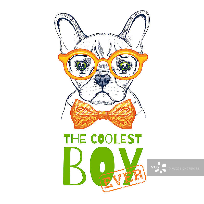 可爱斗牛犬T恤印花设计图片素材