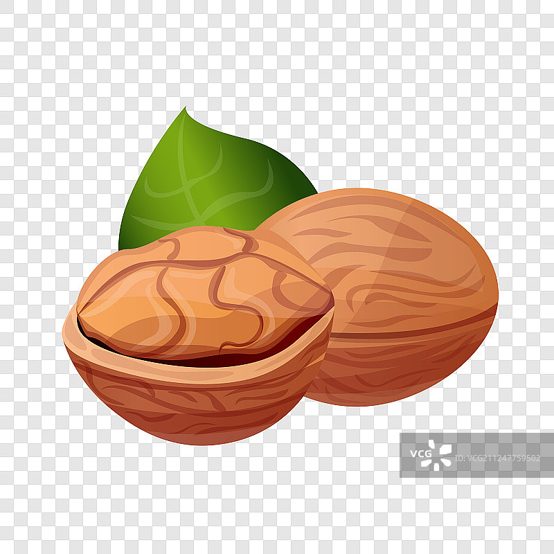 生态核桃卡通图标图片素材