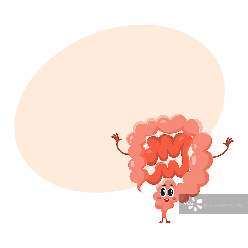 可爱有趣的微笑健康肠道图片素材
