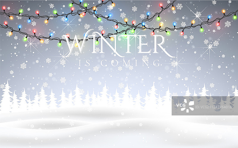 凛冬将至 圣诞雪夜林地图片素材