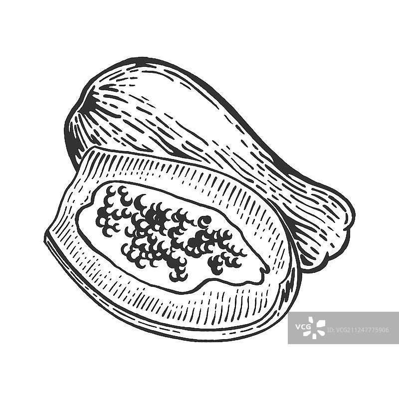 木瓜素描雕刻图片素材