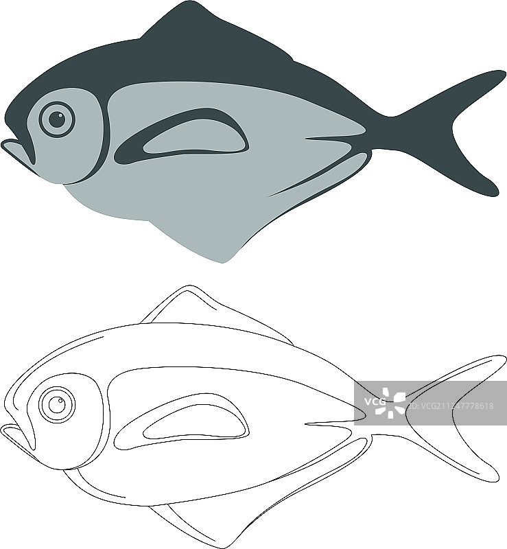 扁平风格的鲯鳅套装图片素材