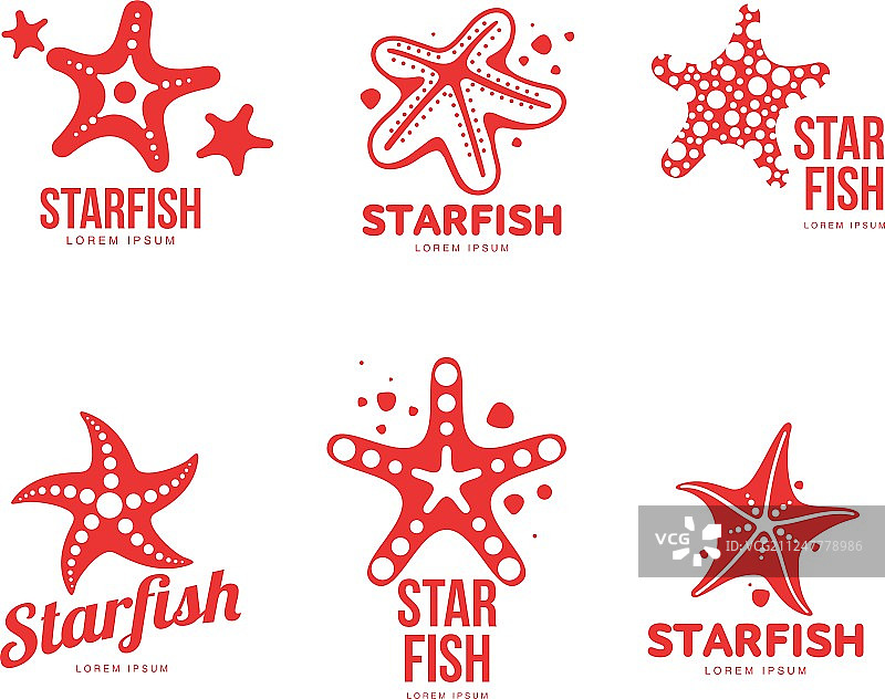 图形剪影海星Logo模板合集图片素材