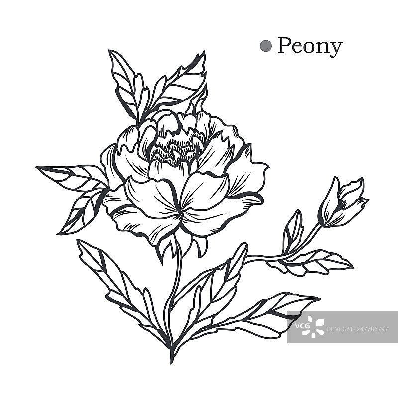 手绘花卉装饰图片素材