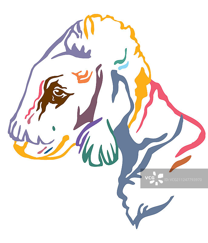 贝灵顿犬的彩色装饰肖像图片素材