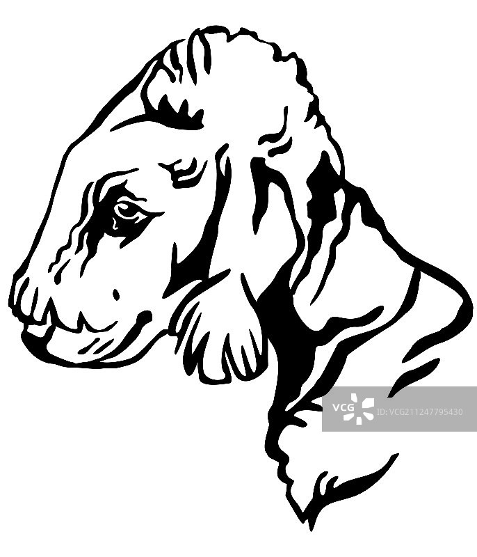 贝灵顿梗犬装饰画像图片素材