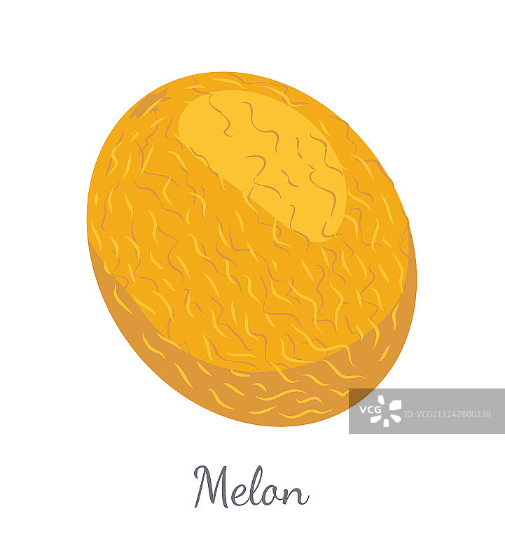 异域风情多汁甜瓜水果图片素材
