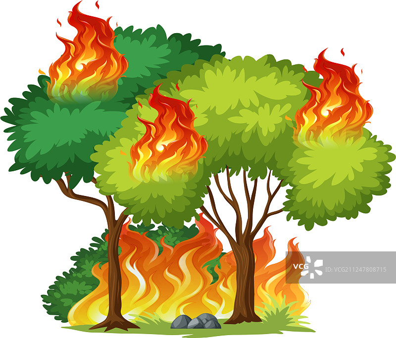 燃烧的独立树木图片素材
