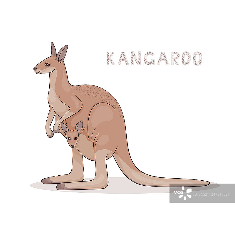 卡通袋鼠与幼崽图片素材