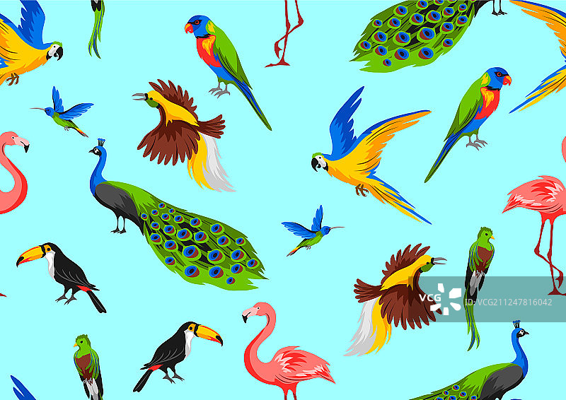 热带异国鸟类无缝图案图片素材