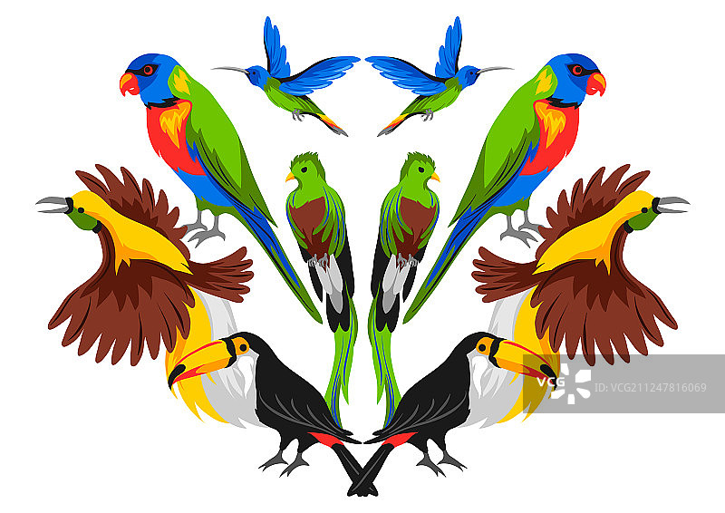 热带异鸟图案设计图片素材