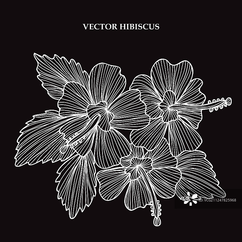 手绘花卉装饰图片素材