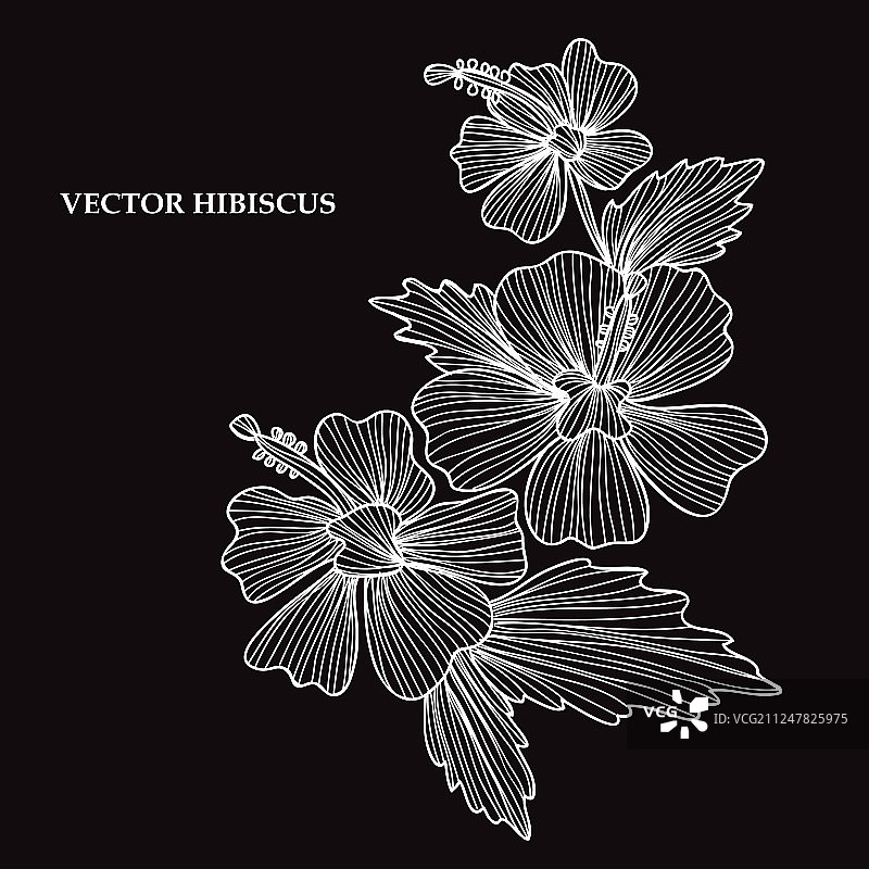 手绘花卉装饰图片素材